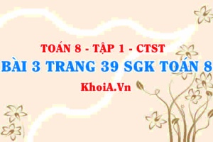Bài 3 trang 39 SGK Toán 8 Tập 1 Chân trời sáng tạo